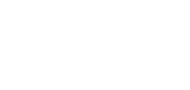 SOFLO INTERNATIONAL REALTY Logo